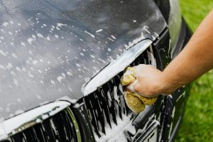 fx protect water spot remover